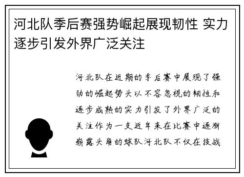 河北队季后赛强势崛起展现韧性 实力逐步引发外界广泛关注